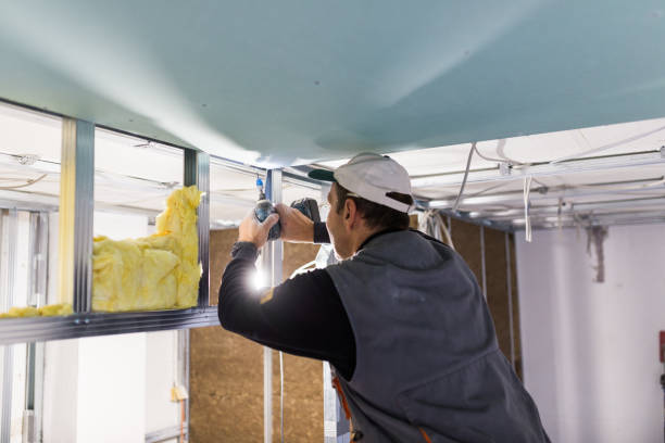 Best Commercial Insulation in Algonquin, IL