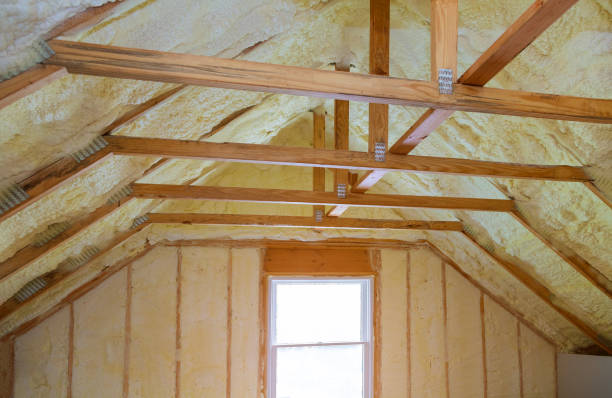 Best Residential Insulation in Algonquin, IL