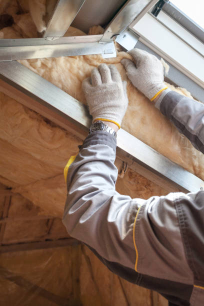 Best Commercial Insulation in Algonquin, IL