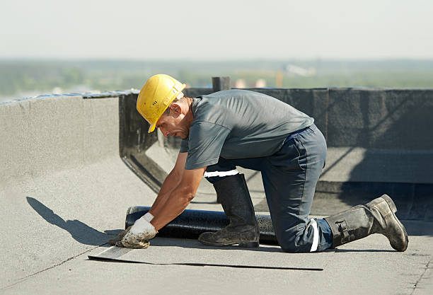 Best Insulation Installation Services in Algonquin, IL